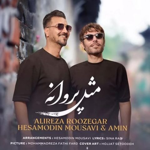 مثل پروانه