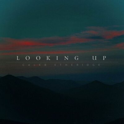 Looking Up