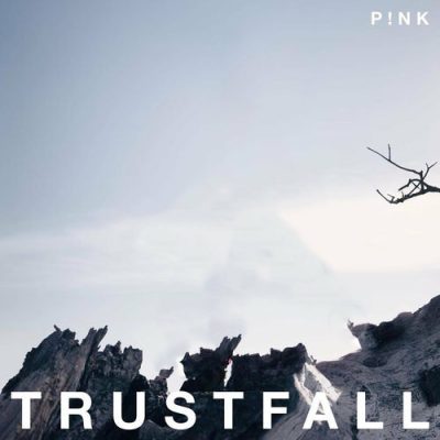 TRUSTFALL
