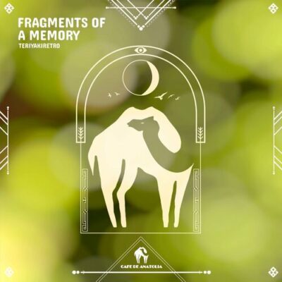 Fragments of a Memory