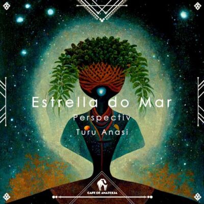 Estrela Do Mar