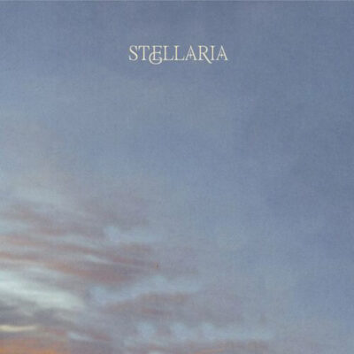 Stellaria