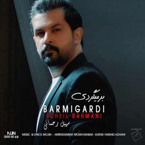 بر میگردی