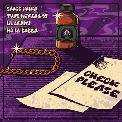Check Please (feat. Lil Jairmy & MG Lil Bubba)