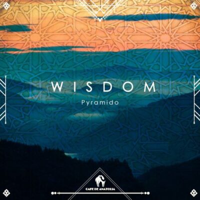 Wisdom