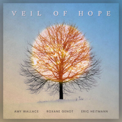 Veil of Hope