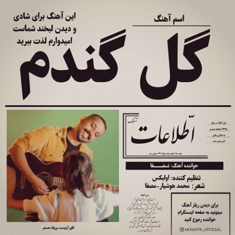 گل گندم