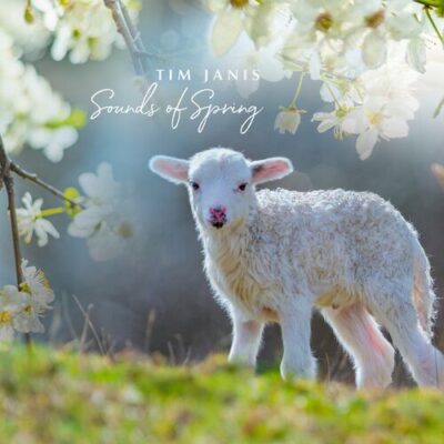 Sounds of Spring