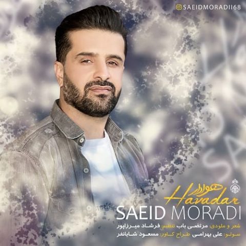 هوادار