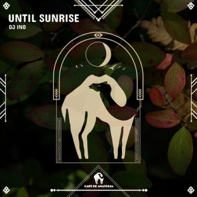 Until Sunrise (FSR Mix)