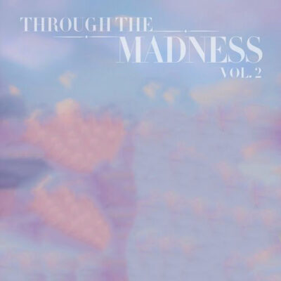 Through The Madness Vol. 2
