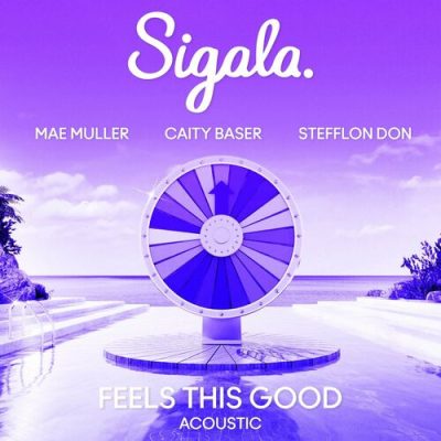 Feels This Good (feat. Stefflon Don) (Acoustic)