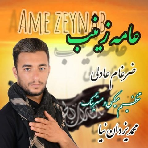 عامه زینب