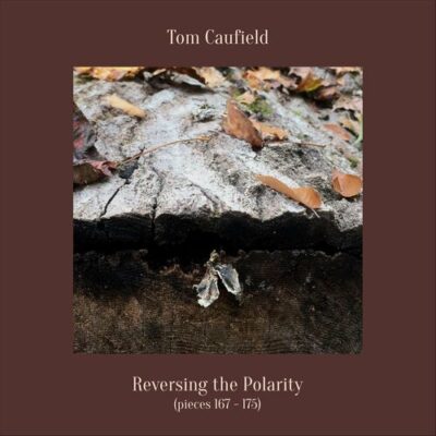 Reversing the Polarity (Pieces 167 - 175)