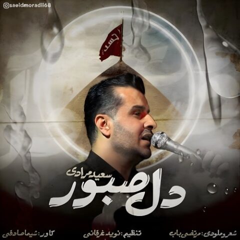 دل صبور