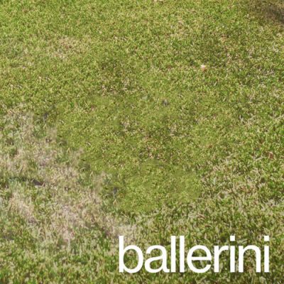 ballerini
