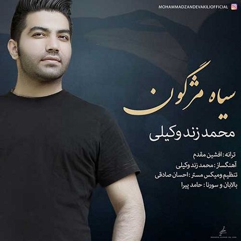 سیاه مژگون