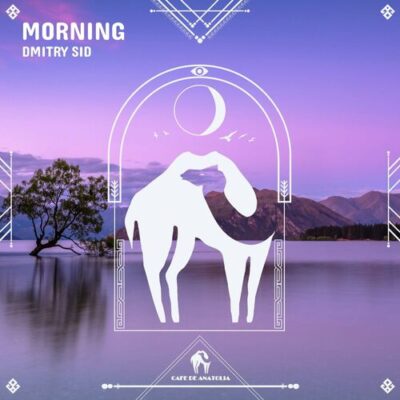 Morning